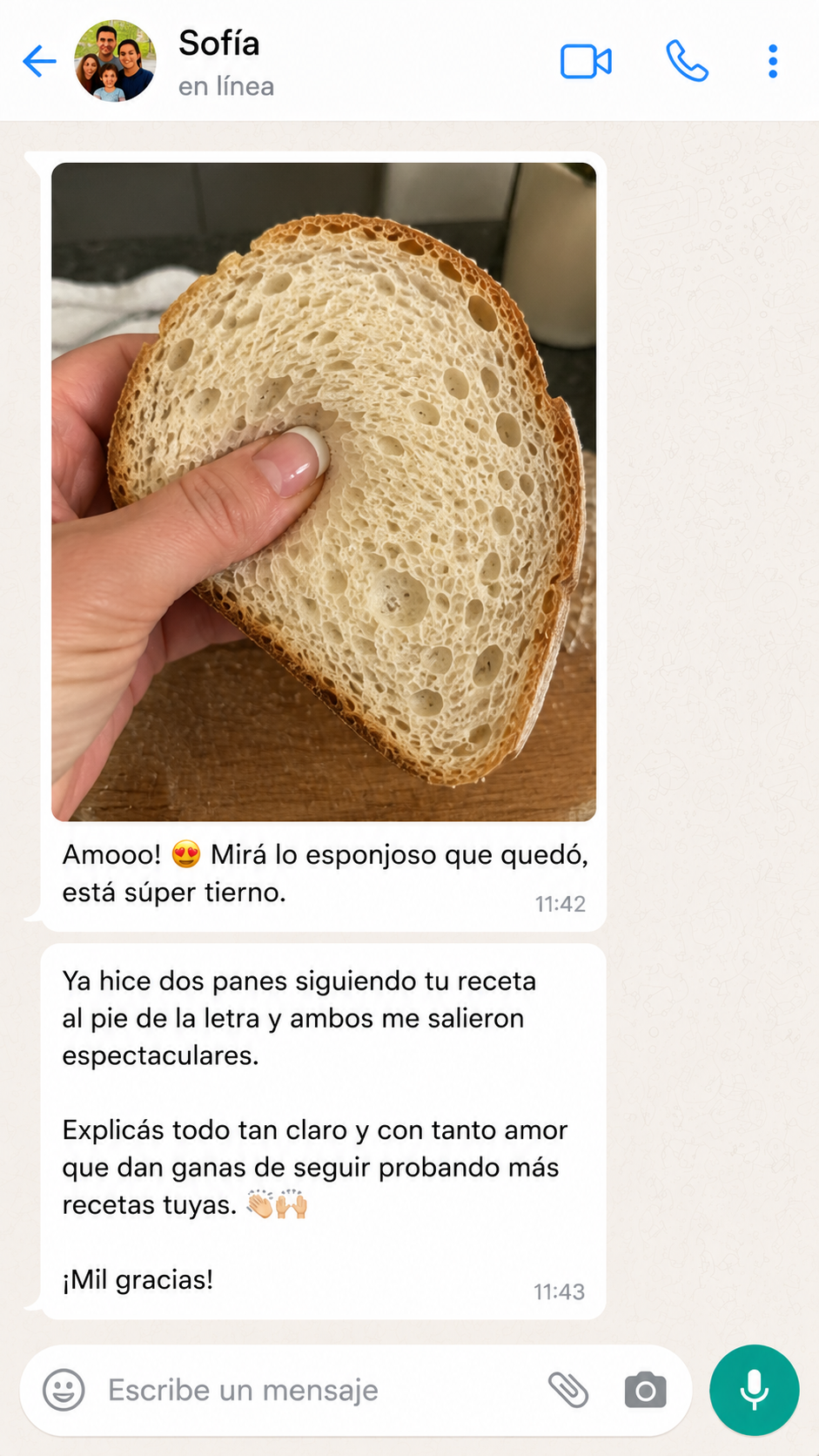Mensaje de WhatsApp de Sofía
